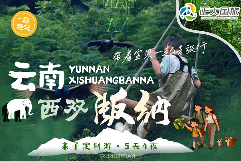 版纳探秘｜雨林寻象·纵享傣风